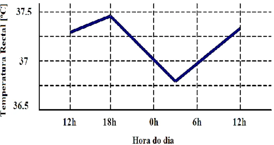 Figura 2.1 - Variação térmica circadiana (Magalhães et al., 2001). 