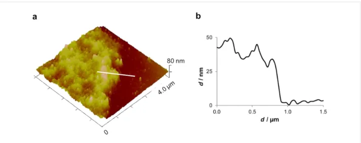 Figure 2: Peak force tapping AFM (PFT-AFM) image (a) and height profile (b) of Paracentrotus lividus moist footprints at the edge of the adhesive material