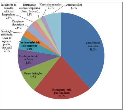 Figura 3-Local identificado por surtos na U.E. em 2013 