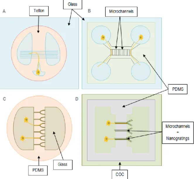 Figure  17  –  Main  designs  used  in  neuroscience  research  for  axonal  isolation  purposes:  (A)  Campenot  Chamber,  a  Teflon platform isolates cell bodies from axons, which grow through scratches in the glass towards other chambers; (B)  Dual-cham