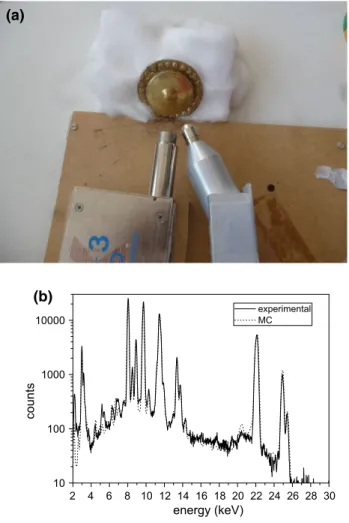 Fig. 8 Silver earring. a Experimental setup; b experimental spectrum and MC simulation