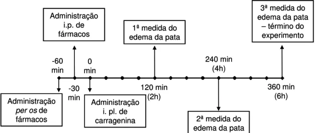 Figura  2.3.  Avaliação  da  resposta  anti-inflamatória  no  modelo  do  edema  em  pata  de  rato  induzido por carragenina