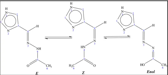 Figura 3.3 – Representação dos equilíbrios isoméricos em solução do composto 4(5)ImMe (1)