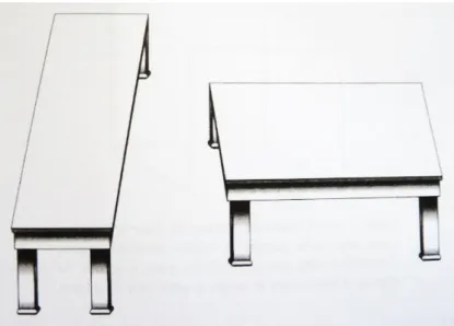 Figura 1: Orientação de mesas – desenho concebido por Roger Shepard (1990). 