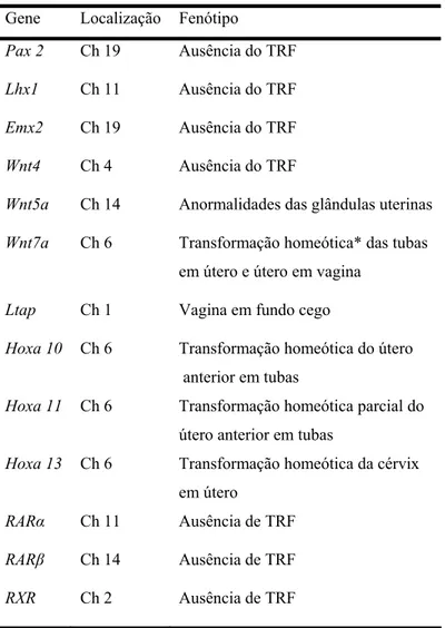 Tabela 1: Alterações fenotípicas do trato reprodutor feminino (TRF)   relacionadas a deleções gênicas em camundongos 
