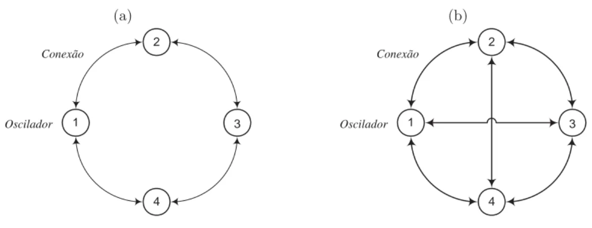 Figura 2.10: Exemplos de redes para m´ ultiplos osciladores acoplados: (a) rede em anel; (b) rede completa de acoplamento.