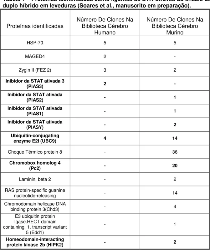 Tabela 1  – Proteínas identificadas como ligantes de STI1 através do ensaio de  duplo híbrido em leveduras (Soares et al., manuscrito em preparação)