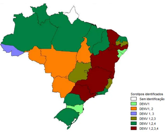 Figura  02.  Sorotipos  de  Dengue  isolados  no  Brasil  por  estado,  janeiro-agosto  2011 (Brasil, 2011)
