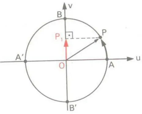 Figura 01  – Representação da função seno no ciclo trigonométrico 
