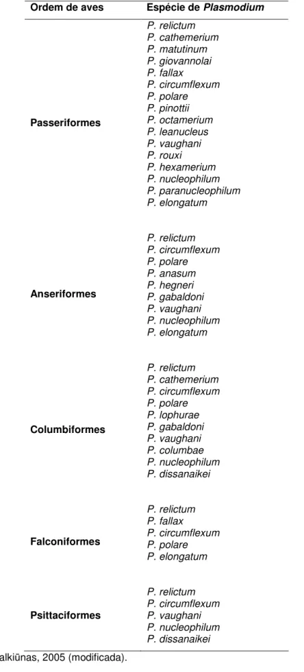 Tabela 4: Espécies de Plasmodium aviário que já foram descritas em algumas ordens de aves: 