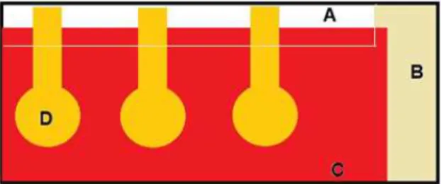 Figura 16 – Estrutura de uma Célula Solar vista por cima. A- superfície limpa de vidro,   (B + C)- Área com ITO, C- Parte da área com o ITO recoberta com as camadas ativas  adjacentes da Célula solar (superfície em vermelho) e D- Contato superior de Au