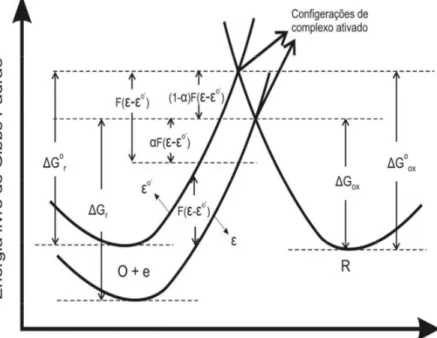 Fig.  3.2.2  Variação  das  energias  de  ativação  dos  processos  de  oxidação  e  redução  devido  a  uma  variação 