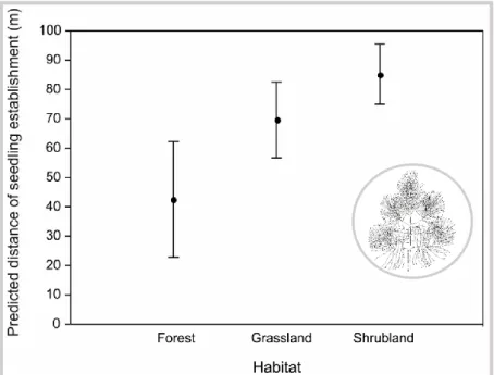 FIGURE  5.  Predictions  of  the  maximum  distance  from  plantation  boundary  with  P