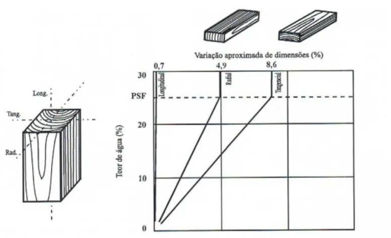 Figura 2.7 – Direções tangencial, radial e longitudinal e respetivos  coeficientes de retração da madeira [7]