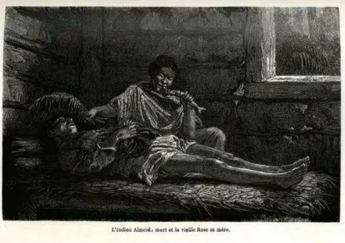 Figura 1 - Gravura sobre madeira presente na primeira edição da obra Deux Années au Brésil,  de 1862.
