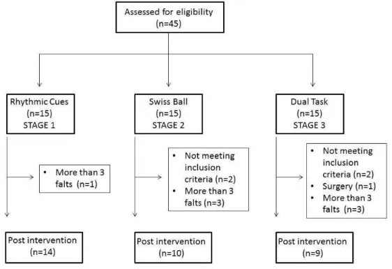 Figure 1  - Flowchart.