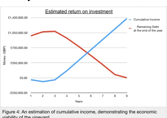 Figure 4: An estimation of cumulative income, demonstrating the economic  viability of the vineyard