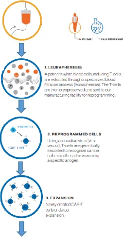 Figure 9: CAT-T therapy process 