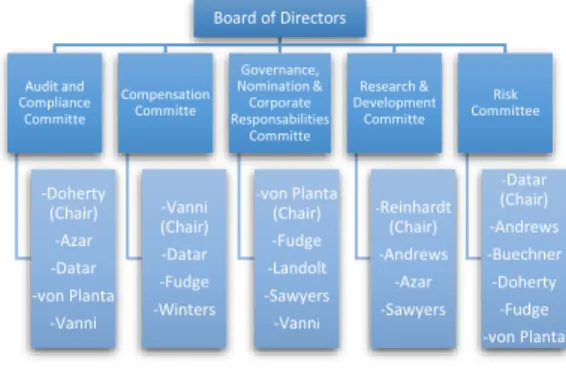 Figure 10: Board of Directors 