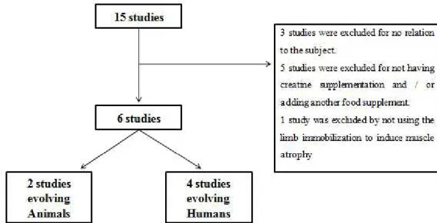 Figure 1 outlines the refinement and selection of  articles studied. 