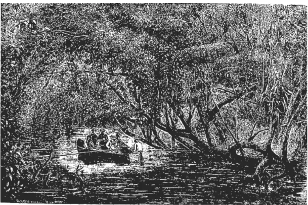 Figura 4 – O rio Sanguaçu 