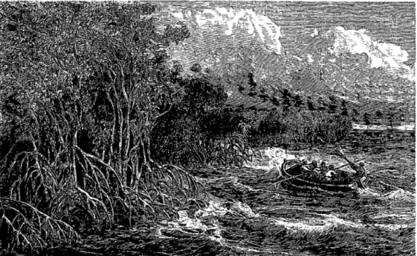 Figura 5 – Foz do rio Sanguaçu  