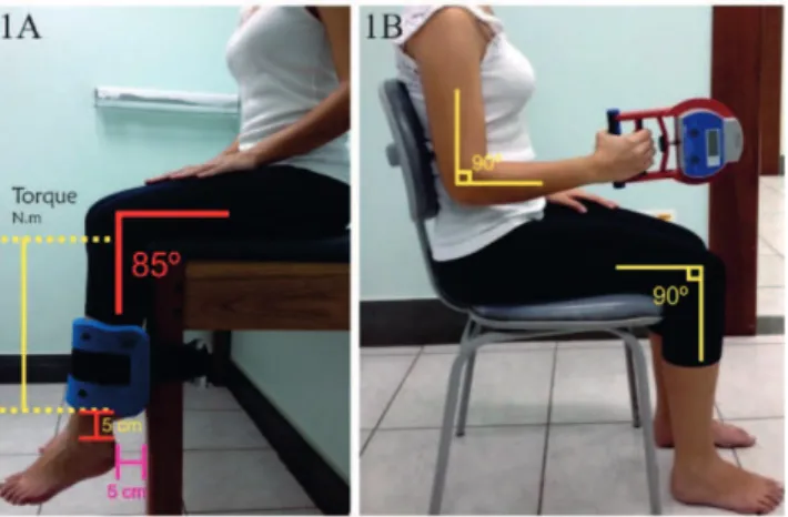 Figure 1  - (A) Evaluation of the force of knee extensors using modified stabilization