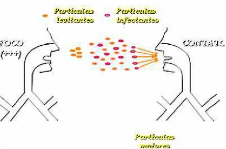 Figura 6: Formas de transmissão da Tuberculose 