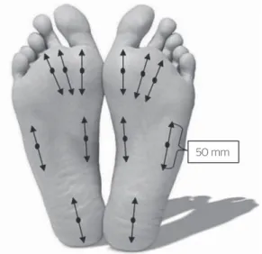 Figure 1. Image of the zones and measurement direction of the  two-point tactile discrimination for the right and left feet (head of  the 1st, 2nd and 3rd metatarsal, lateral border of the foot, medial and  central border of the heel)