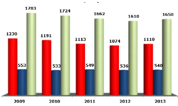 Figura  6  -  N.º  de  embarcações  por  bandeira  nas  docas  de  recreio  do  porto  de  Lisboa  (2009 - 2013) 