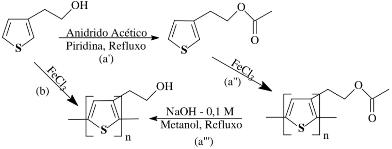 Figura  10:  Obtenção  do  polímero  poli(3-tiofenoetanol)  via  síntese  química:  (a)  polimerização do éster seguido de reação de saponificação e (b) polimerização direta do  3-tiofenoetanol