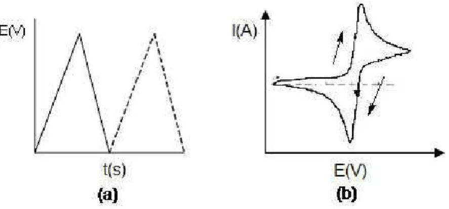 Figura  12:  Representação  esquemática  dos  sinais  aplicados  e  medidos  na  Voltametria  Cíclica:  (a)  Varredura  do  potencial  em  função  do  tempo  e  (b)  Perfil  de  corrente  em  função do Potencial