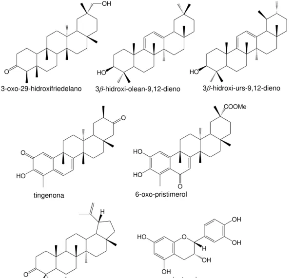 Figura  1:  Estrutura  química  de  substâncias  isoladas  de  algumas  espécies  da 