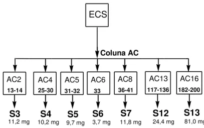 Figura 12: Fracionamento do extrato ECS de folhas de Salacia crassifolia. 