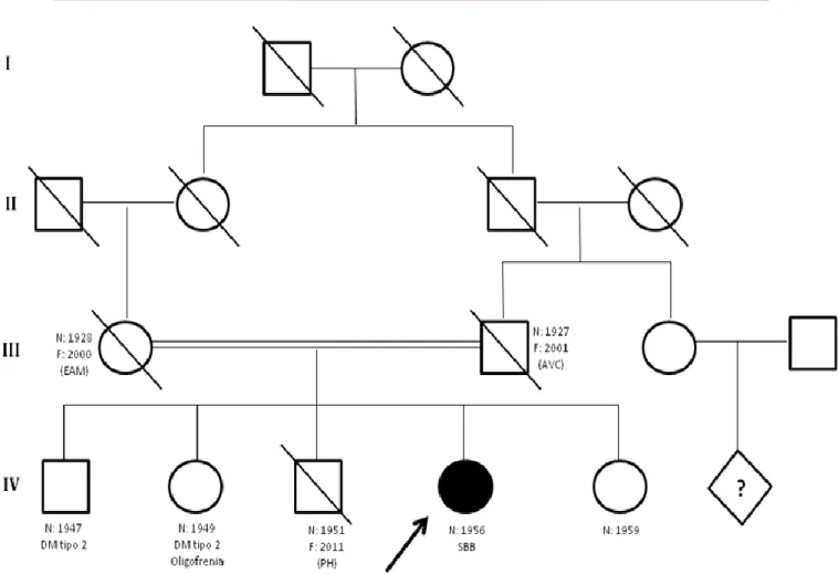 Figura 8- Pedigree representativo do caso em discussão. 