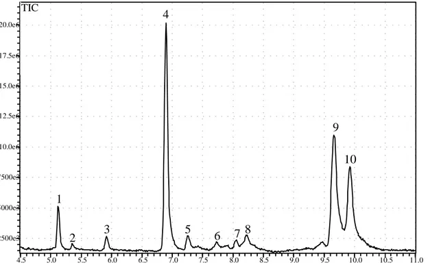 Figura 24: Perfil cromatográfico obtido por CG/EM de extrato em hexano de folhas de 