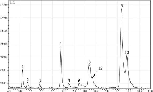 Figura 26:  Perfil cromatográfico obtido por CG/EM de extrato em hexano de folhas de 