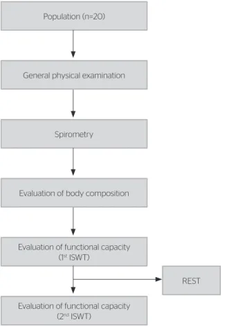 Figure 1. Experimental procedure Population (n=20)