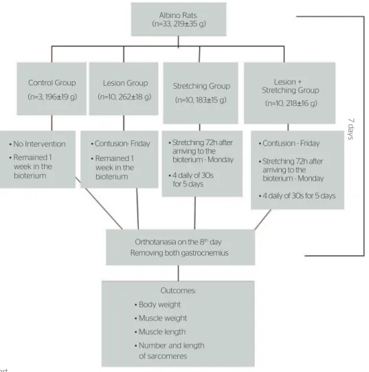 Figure 1. Study flowchart