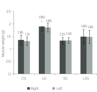 Figure 2. Ef ect of stretching on the gastrocnemius muscle weight