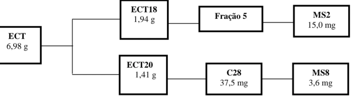 Figura 7: Compostos obtidos de ECT por cromatografia em coluna. MS2: 3,16- 