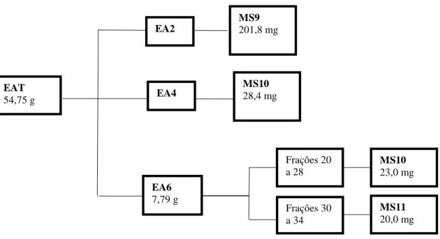 Figura 8 -  Compostos obtidos de EAT por cromatografia em coluna. MS9:  -sitosterol;    