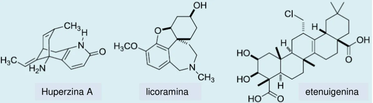 Figura 5: Exemplos de produtos naturais com propriedade inibidora de AChE  (VIEGAS et al., 2011)