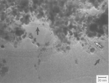 Figura 2.12: Imagem de microscopia eletrˆonica dos primeiros nanotubos de BN de m´ ultiplas camadas (indicados pelas setas) obtidos experimentalmente [63].