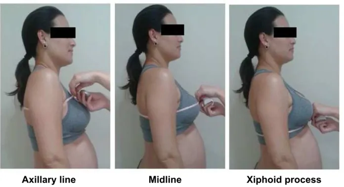 Figure 1. Reference anatomical points for performing cirtometry