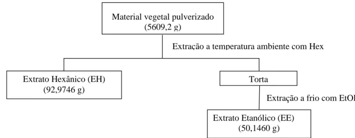 Tabela II.1.  Frações e grupos de frações resultantes do fracionamento cromatográfico de  EH