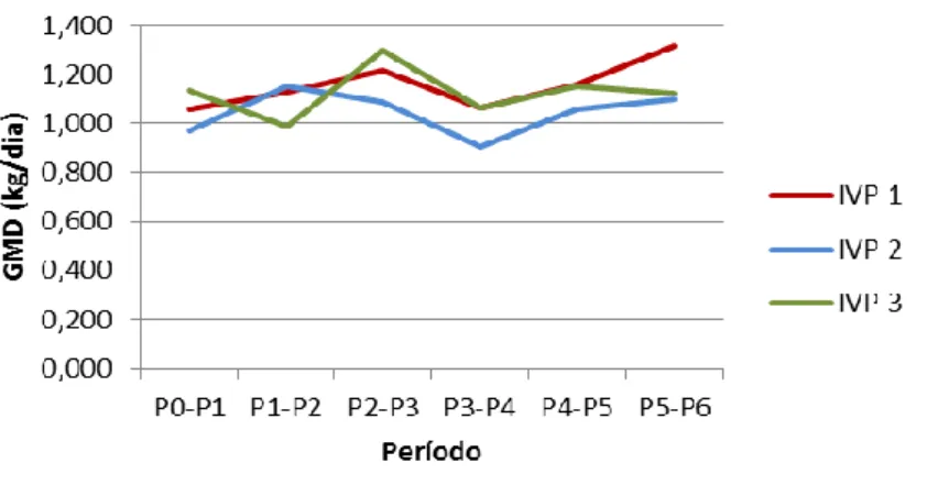 Figura 4. Interação entre o período e a idade da vaca ao parto 