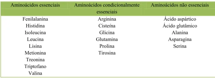 Tabela 2.1 -  Classificação dos aminoácidos entre essenciais, condicionalmente essenciais e  não essenciais (adaptado de Rose et al., 1954; Kopple &amp; Swendseid, 1975)