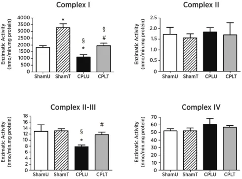 Figure 2. Mitochondrial electron transport chain enzyme activity (METC) of the diaphragm muscle 48 hours after surgical procedures