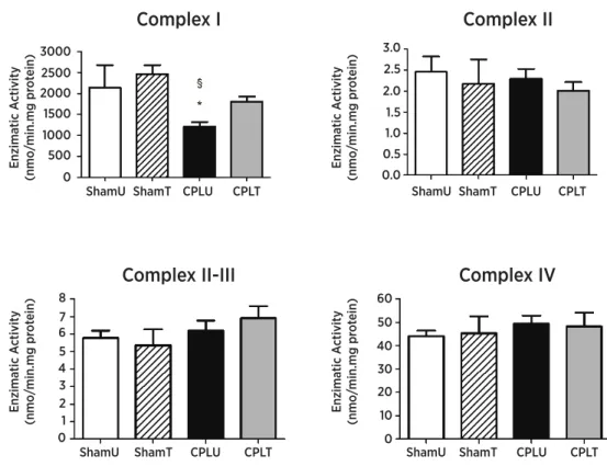 Figure 3. Mitochondrial electron transport chain enzyme activity (METC) of the soleus muscle 48 hours after surgical procedures